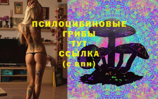 меф Алзамай